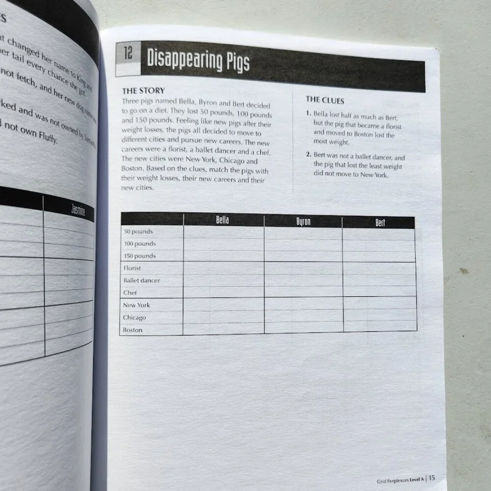 MindWare Grid Perplexors Level A Book Workbook Brain Teasers Puzzle Book Logic B